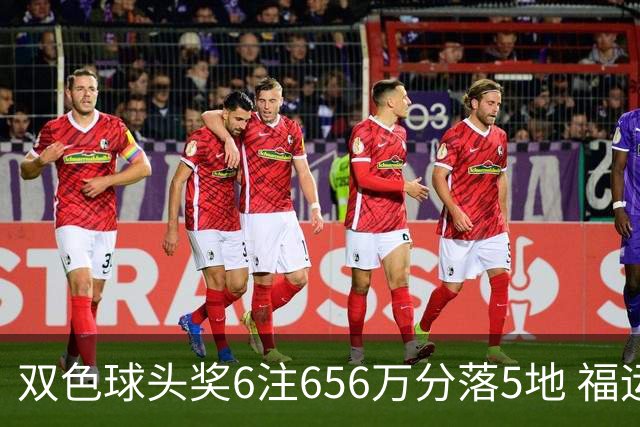 双色球头奖6注656万分落5地 福运奖开813万注